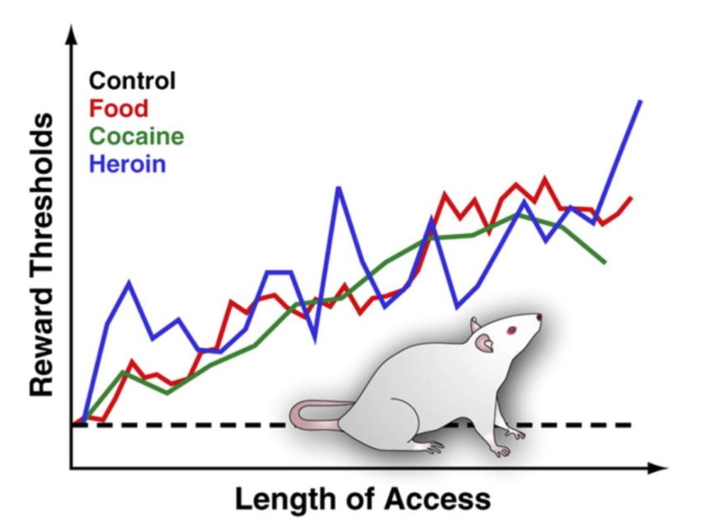 Food addiction can be just as powerful as other, much scarier substances!