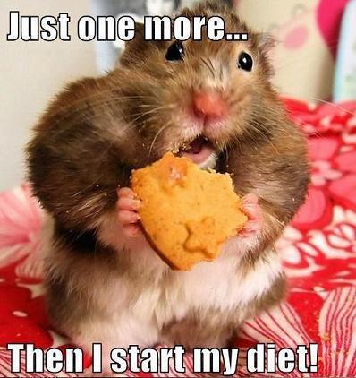 Holiday Excuse #8: Just one more...