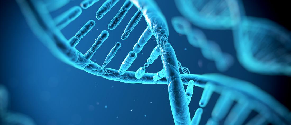 FTO, The Obesity Gene Decrypted: What You Need To Know