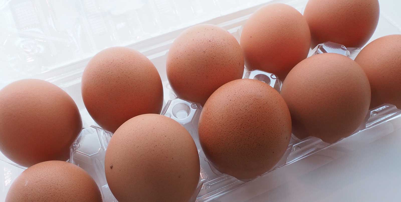 3 Essential Foods to Help You Lose Weight