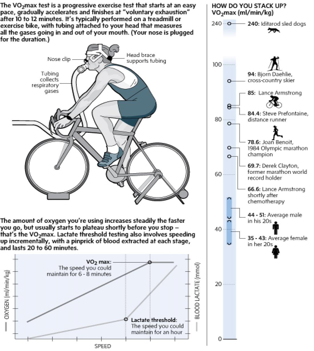 VO2 Max vs. Lactate Threshold For Performance Measurement