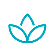 Soothing massage therapy sessions