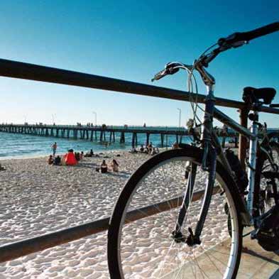 Come experience CFS weight loss boot camp!